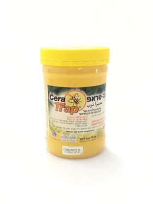 תמונה של מלכודת זבובים