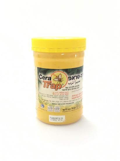 תמונה של מלכודת זבובים