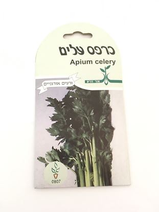 תמונה של כרפס עלים