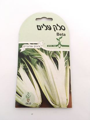 תמונה של סלק עלים