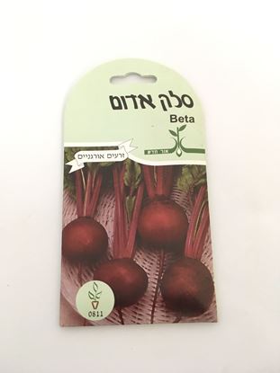 תמונה של סלק אדום