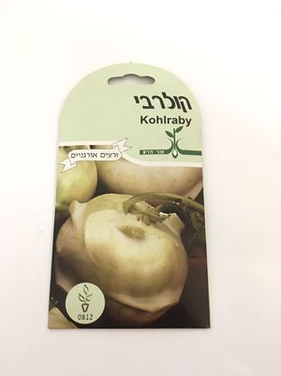 תמונה של קולרבי