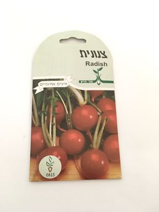 תמונה של צנונית