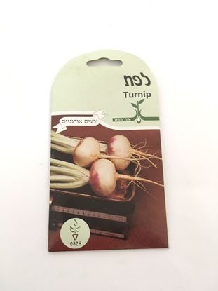 תמונה של לפת