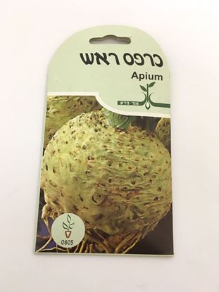 תמונה של כרפס ראש