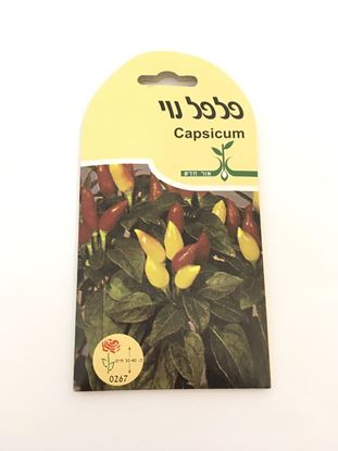 תמונה של פלפל נוי