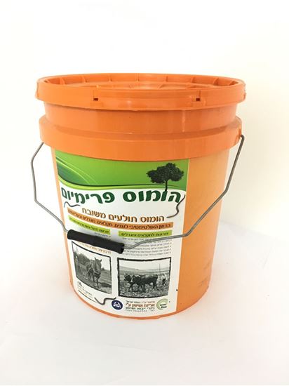 תמונה של הומוס פרימיום כ-16 ל'.