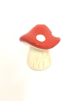 תמונה של פטרייה 15X14 ס"מ