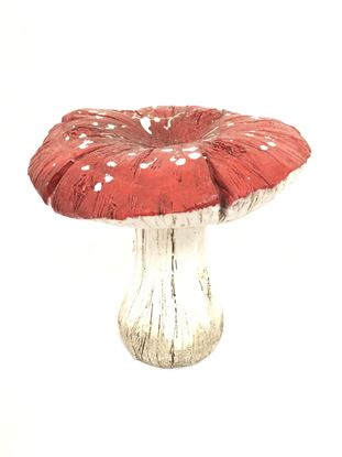 תמונה של פטרייה 40X40 ס"מ