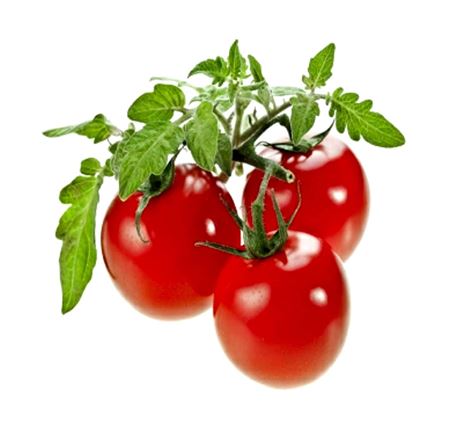 תמונה עבור הקטגוריה שתילי וזרעי ירקות