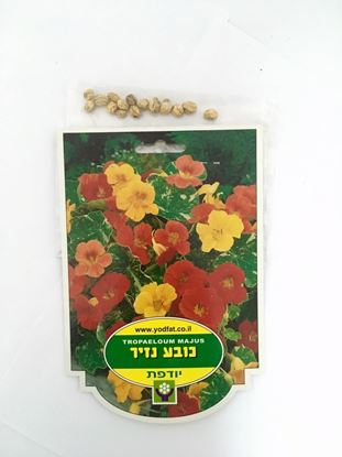 תמונה של פקעות כובע נזיר