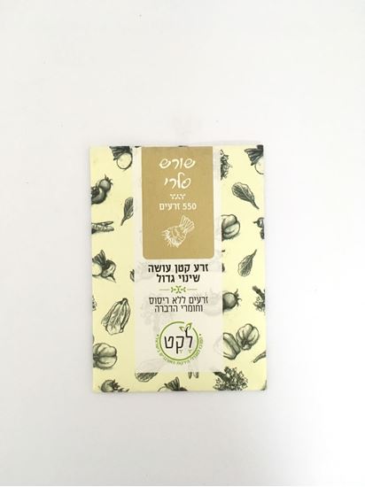 תמונה של זרעי שורש סלרי אורגניים