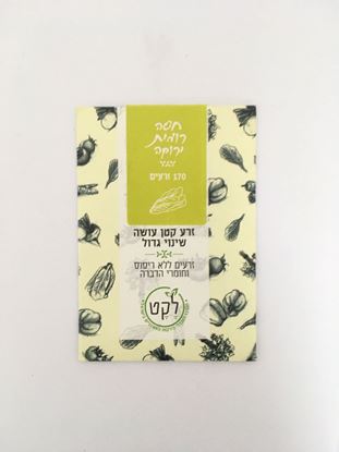 תמונה של זרעי חסה רומית ירוקה אורגניים
