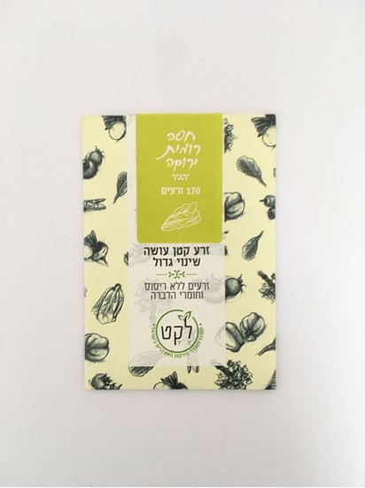 תמונה של זרעי חסה רומית ירוקה אורגניים