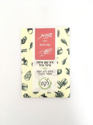תמונה של זרעי צנונית אורגניים
