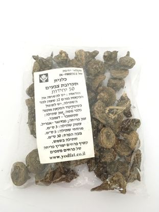 תמונה של פקעות כלנית בתערובת צבעים