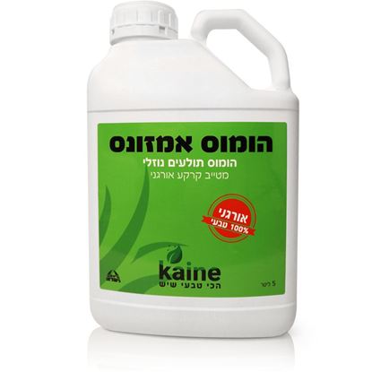 תמונה של הומוס אמזונס נוזלי 5 ליטר